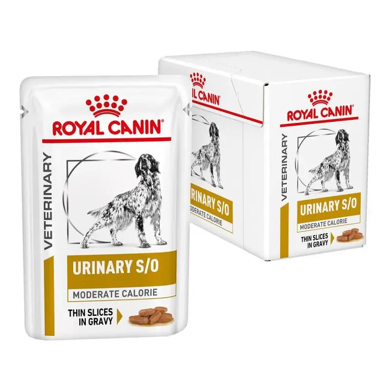 Royal Canin Veterinary Urinary S/O Moderate Calorie 12X100Gr Box, wet dog food