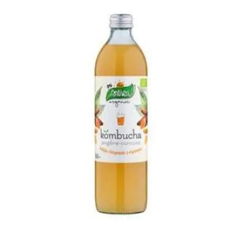 Santiveri Kombucha Curcuma + Ginger 500Ml.