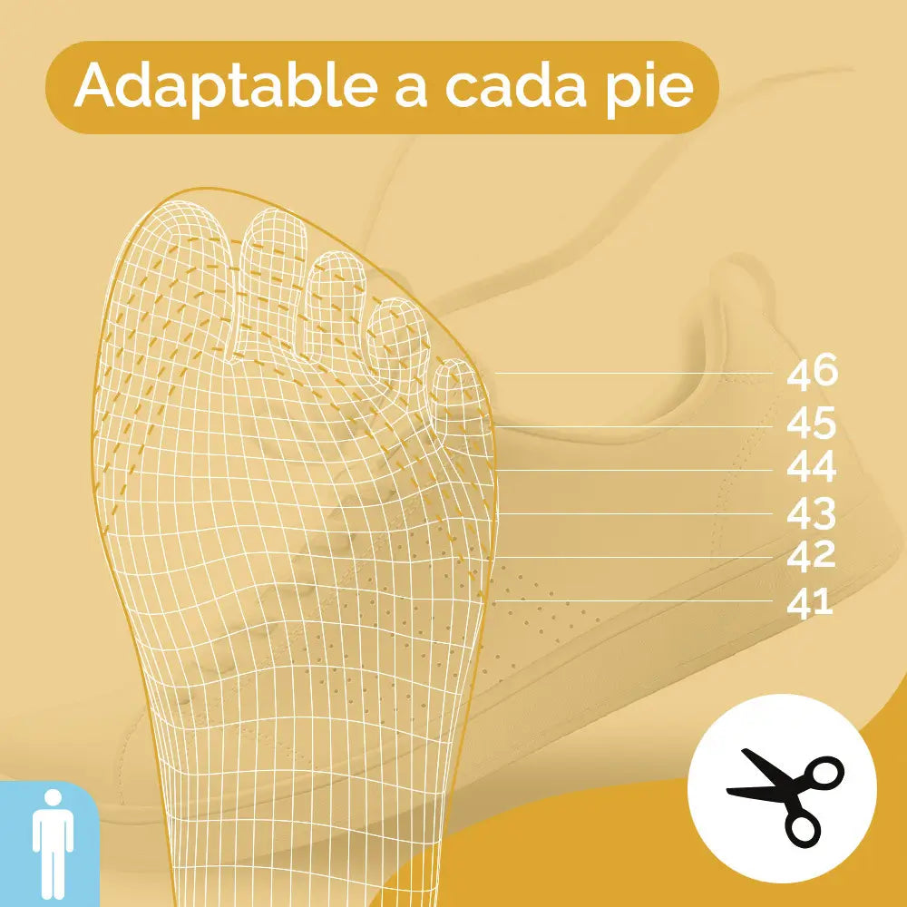 Scholl Insole Professional Men
