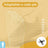 Scholl Insole Professional Men