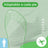 Scholl Insole Sport Men