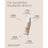 Sensilis Upgrade Make Up Lift Effect Cream Make Up 04 Peche Rose 30 ml