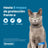Seresto Cat Collar Pack 2 units