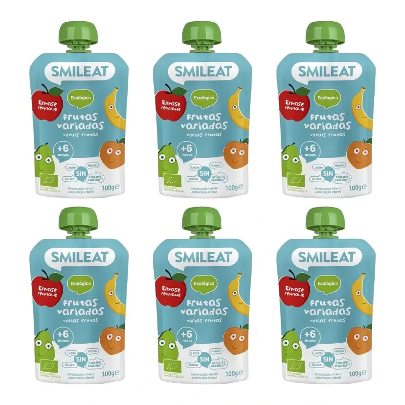Smileat Pouch – Mixed Fruit 100 g, pack of 6
