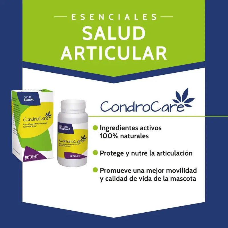 Stangest Chondrocare 30 Tablets