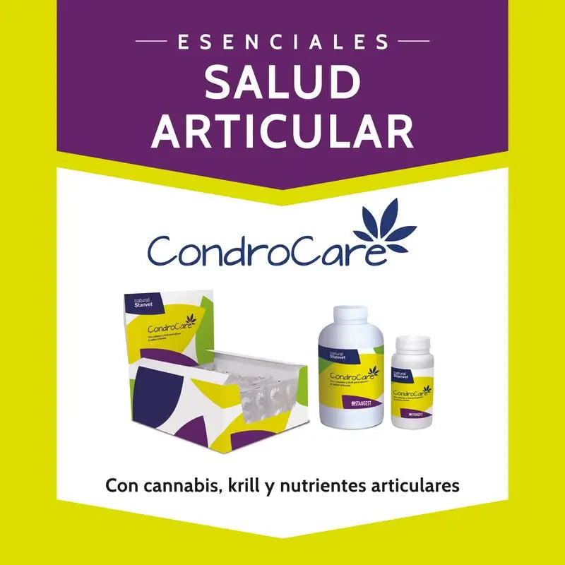 Stangest Chondrocare 30 Tablets