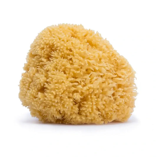 Suavinex Natural Sponge Large