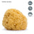 Suavinex Natural Sponge Large