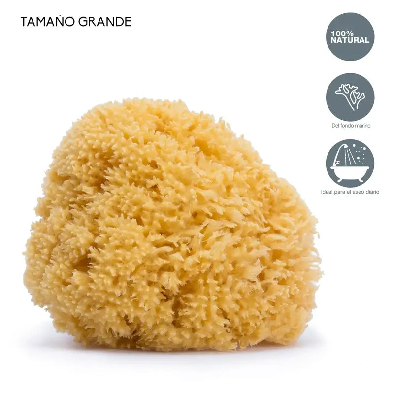 Suavinex Natural Sponge Large