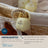 Suavinex Pacifier Holder +0 Months Birdies Beige