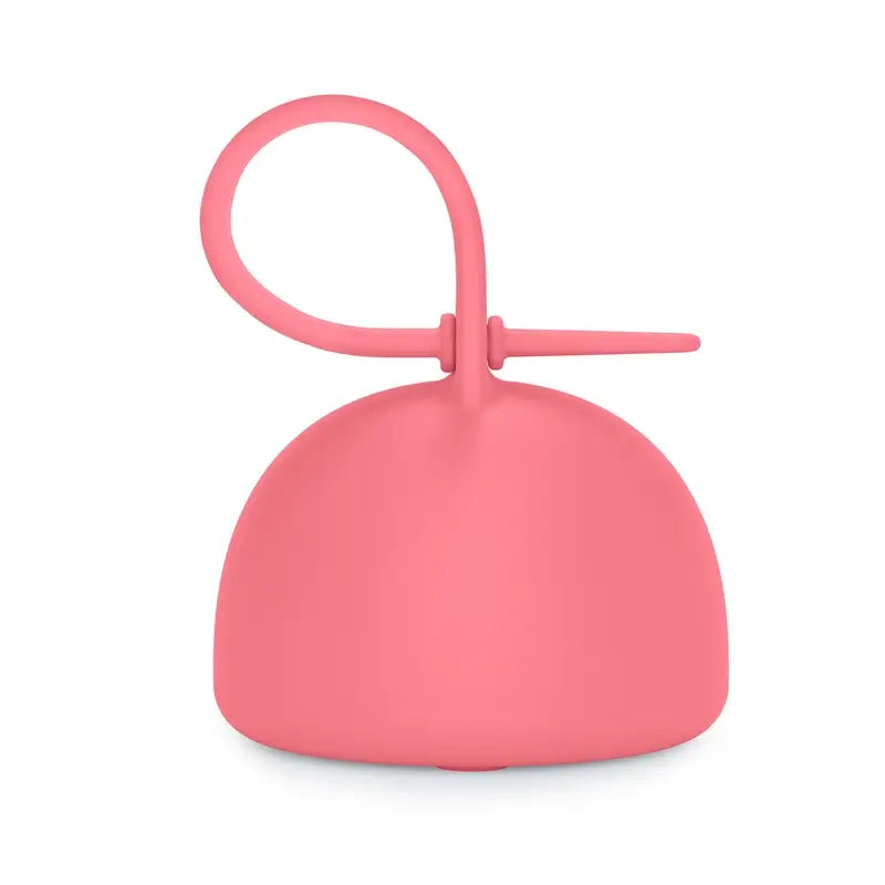 Suavinex Silicone Pacifier Holder With Handle, +0 Months, Fuchsia