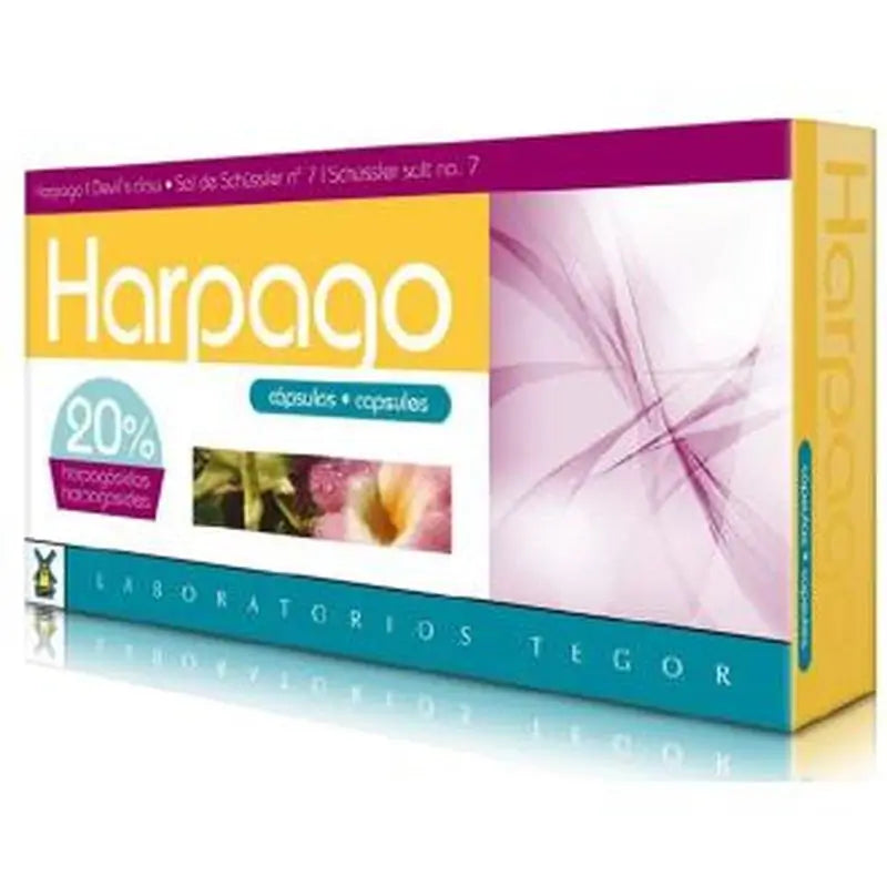 Tegor Harpago 40 Capsules
