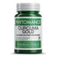 Therascience Physiomance Curcuma Gold 30 Tablets