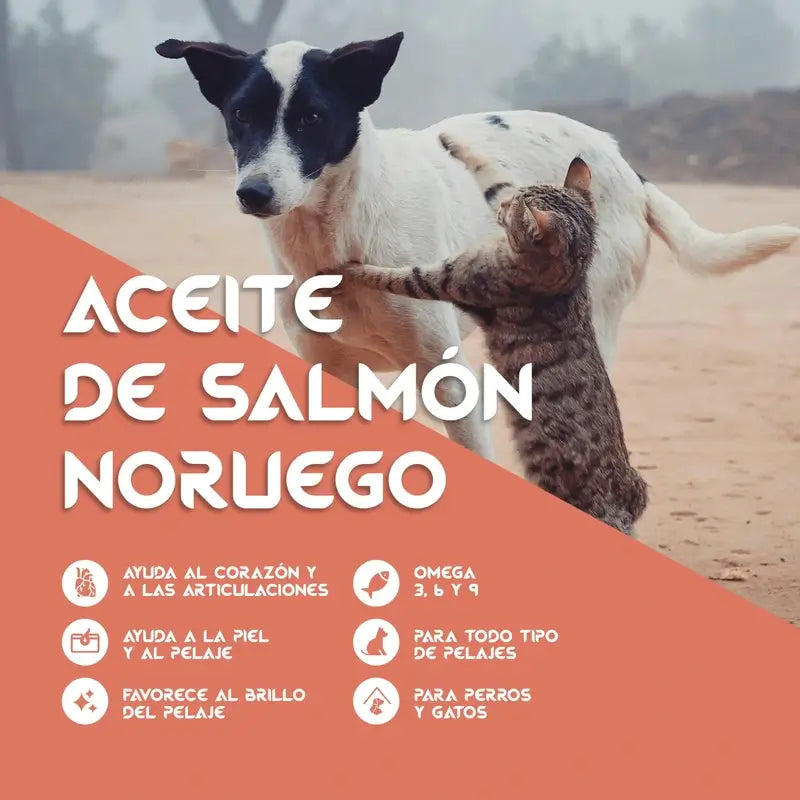 Togo Salmon Oil, 250 ml