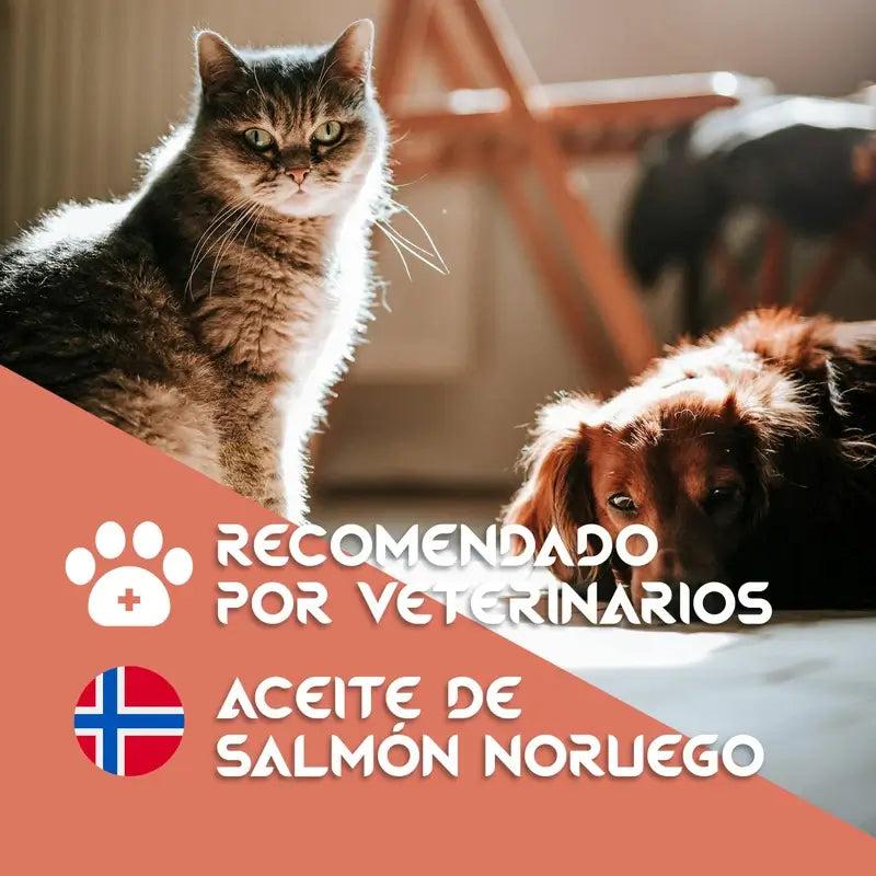 Togo Salmon Oil, 250 ml
