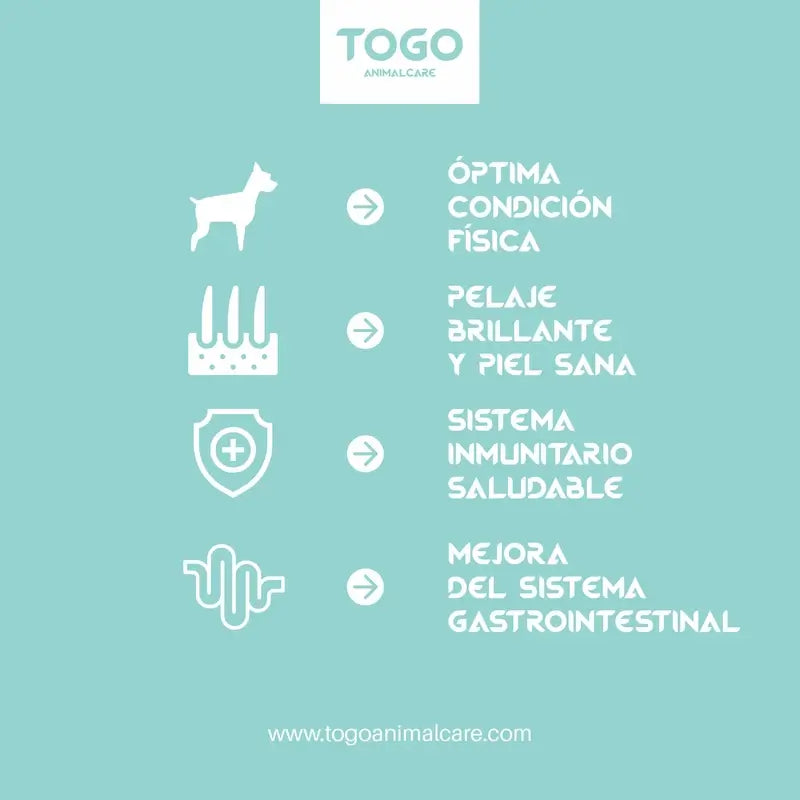 Togo Pork Medallion Snacks, 60 grams