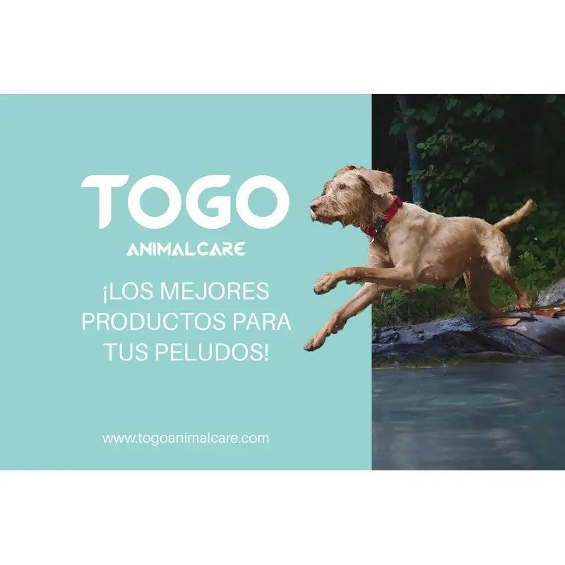 Togo Pork Medallion Snacks, 60 grams