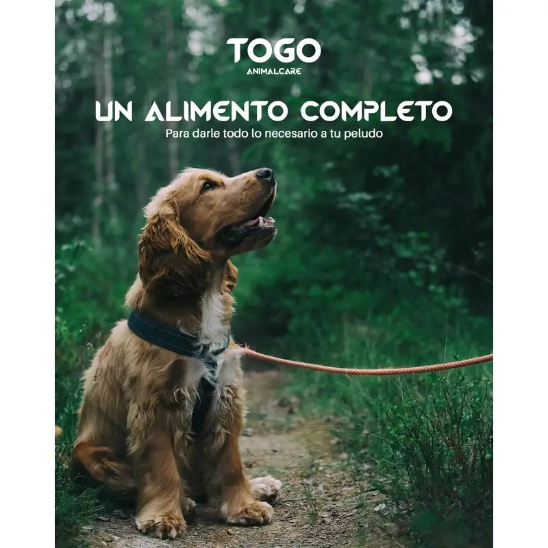 Togo Natural Hypoallergenic Salmon Dog Food, 15 kg