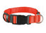 Trixie Collar With Orange Light S-M 30-40Cmx25Mm