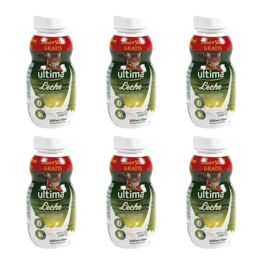 Ultima Milk for Cats and Kittens, 250 ml, pack of 6