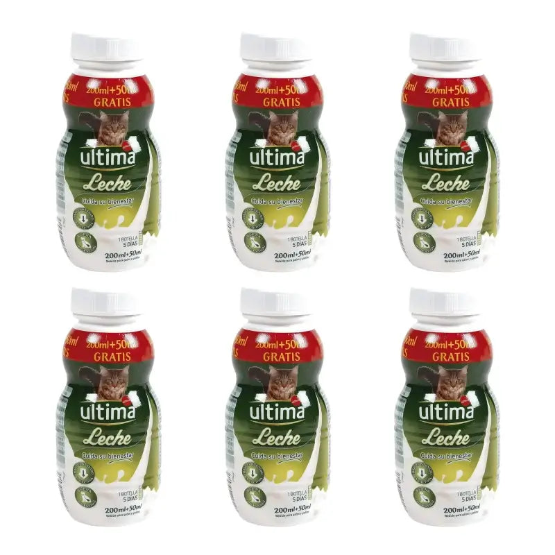 Ultima Milk for Cats and Kittens, 250 ml, pack of 6