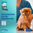 Virbac Veggiedent Fr3sh S, Dental Snacks For Small Breed Dogs