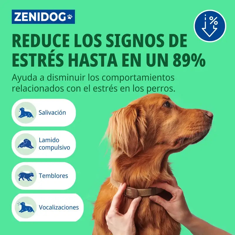 Virbac Zenidog Collar S