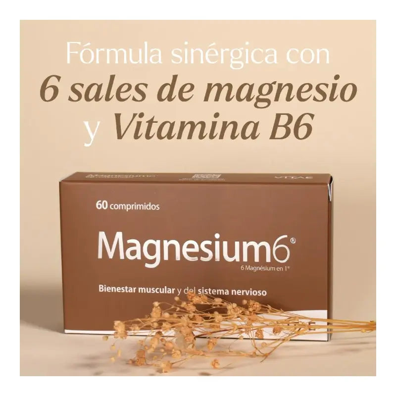 VITAE Magnesium6, 20 tablets