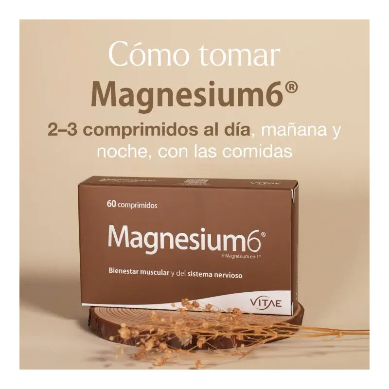 VITAE Magnesium6, 20 tablets