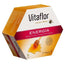 Vitaflor Energy 20 Vials