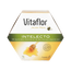 Vitaflor Intellect 20 Vials