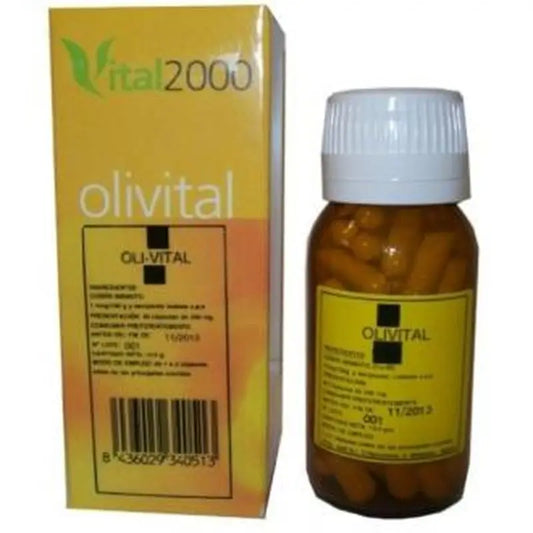 Vital 2000 Olivital Nº11 & Iodine 40 Capsules