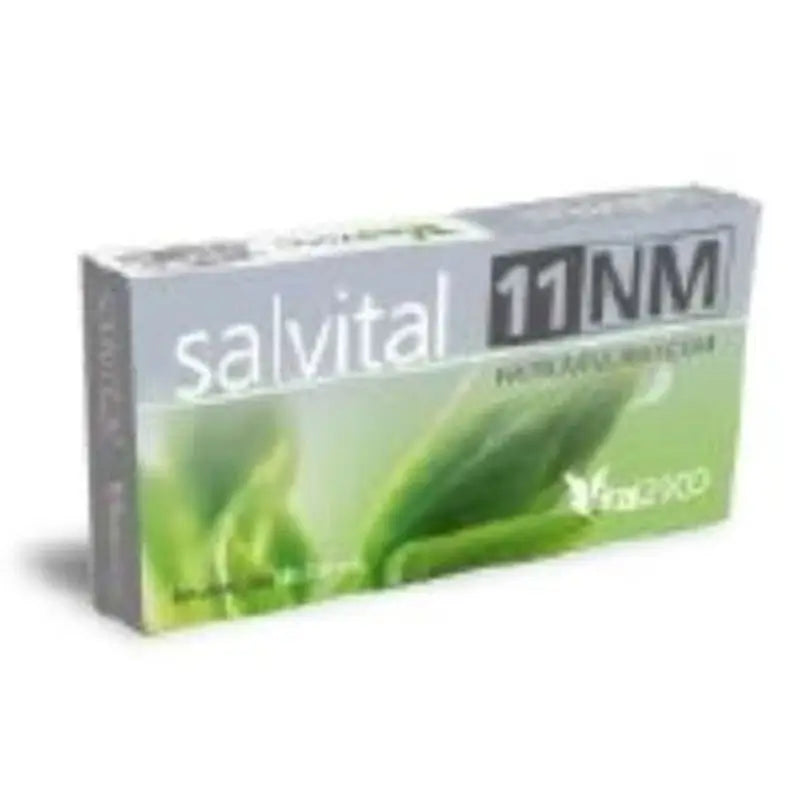 Vital 2000 Salvital Nº11 Nm Natrum Muriaticum 40 Capsules