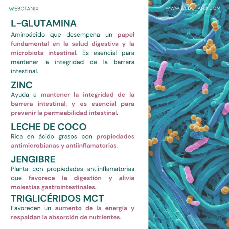Webotanix Probiotax Microbiota, 60 capsules