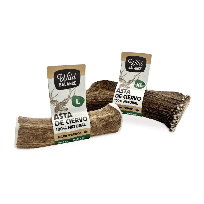 Wild Balance Whole Deer Antler M – Natural Dog Chew