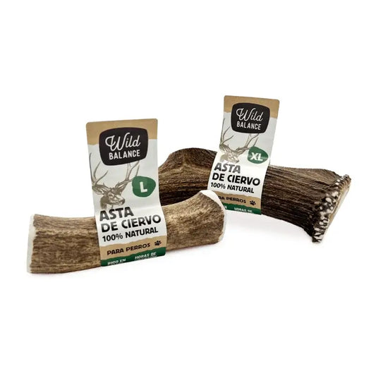 Wild Balance Whole Deer Antler M – Natural Dog Chew